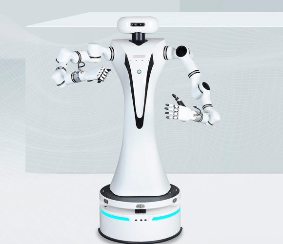 Робот-манипулятор Realman Dual Arm Compound