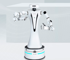 Робот-манипулятор Realman Dual Arm Compound