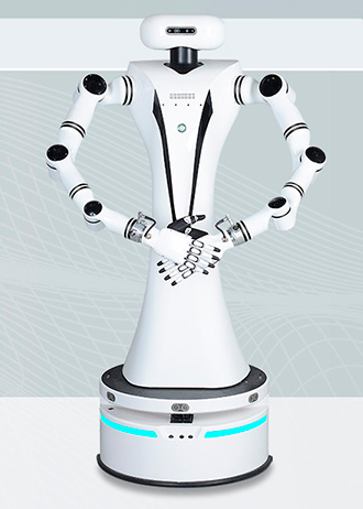 Робот-манипулятор Realman Dual Arm Compound